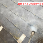 蓄積された汚れや苔をを洗浄