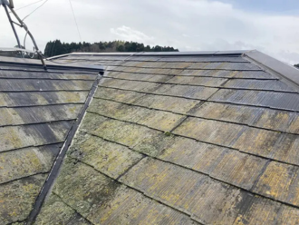 緑色の苔が生えた屋根