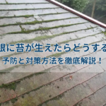 屋根に苔が生えたらどうする？予防と対策方法を徹底解説！