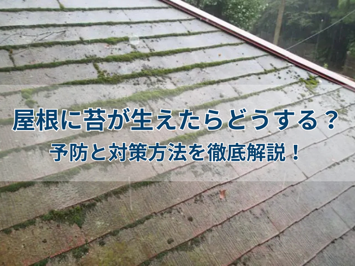 屋根に苔が生えたらどうする？予防と対策方法を徹底解説！