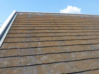 苔が生えたスレート