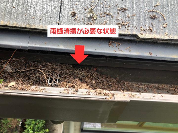 雨樋清掃が必要な状態