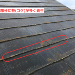 小口部分に苔(コケ)が多く発生