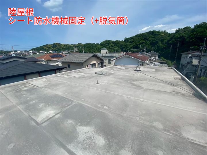 シート防水 機械固定工法（+脱気筒）