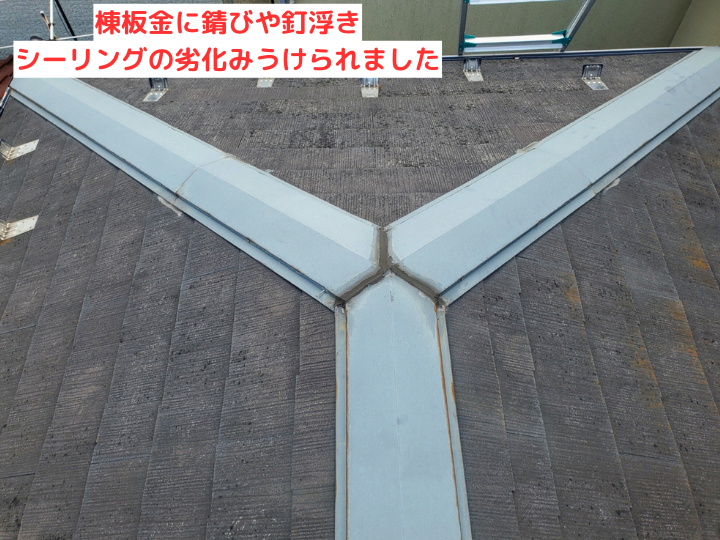 棟板金の点検