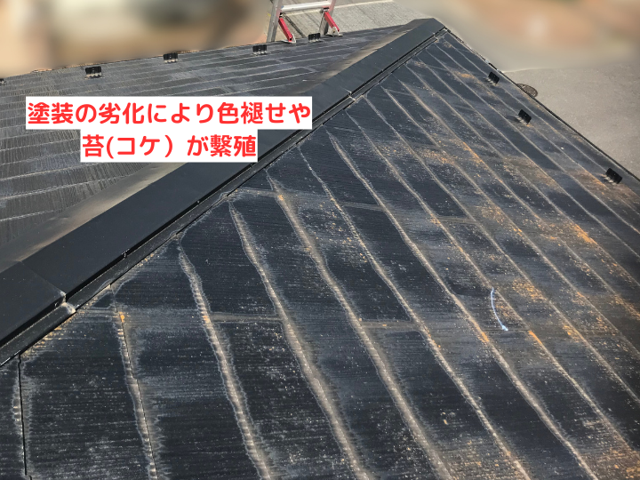 塗装の劣化により色褪せや苔(コケ）が繫殖