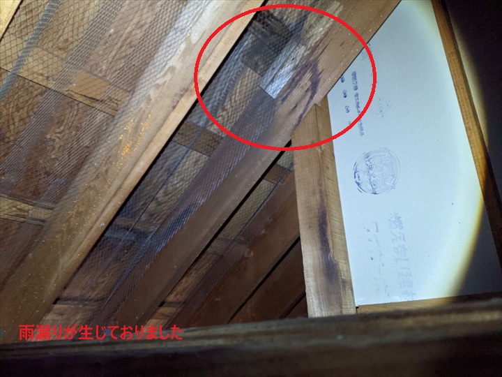 雨漏り箇所