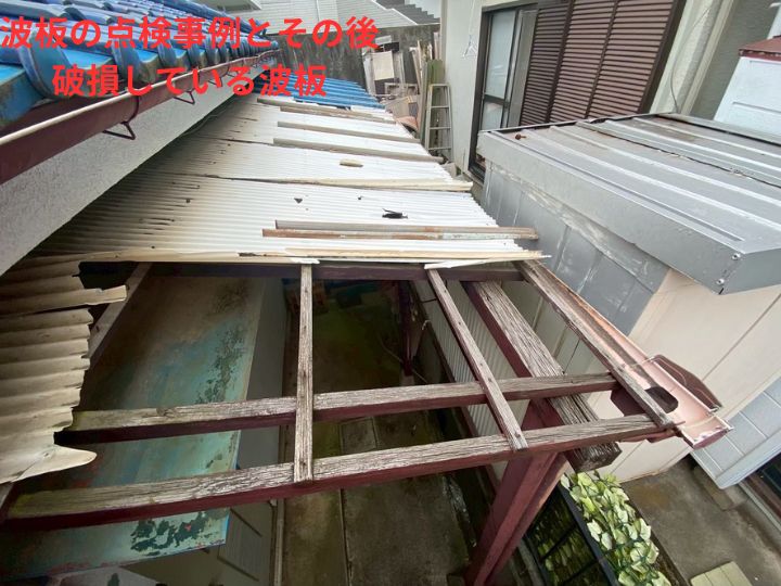 破損した波板の様子