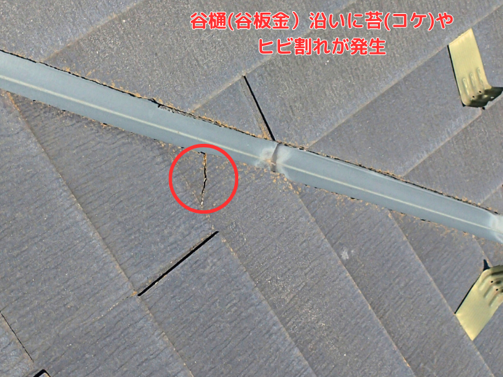谷樋(谷板金）沿いにヒビ