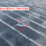 小口部分の変色やヒビ割れも発生