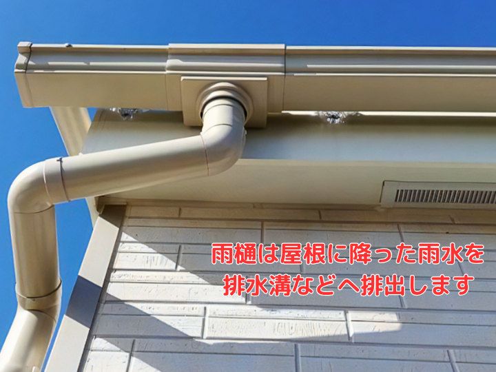 屋根に降った雨水を排水溝や地上へ排出する役割