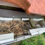 現場を確認すると、軒樋の内部には土や枯れ草、竹の葉のような植物片が堆積していました。 これらが排水口（集水器）を塞いでおり、水がスムーズに流れない状態です。放置すると、雨水が屋根や外壁を伝ってしまい、雨漏りや外壁劣化につながる恐れがあります。