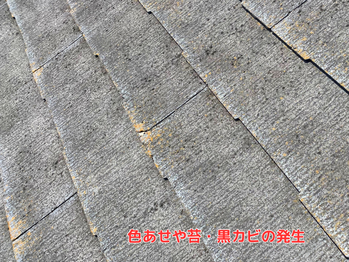 色あせや苔・黒カビが発生