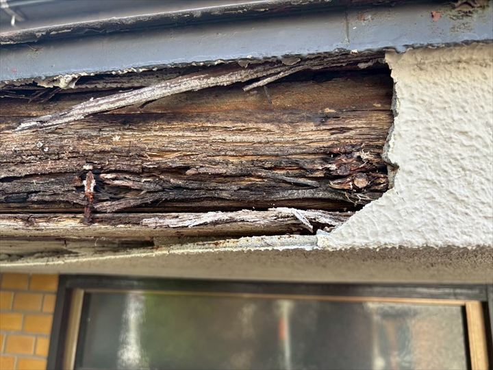 現地調査の様子：庇の下地が腐食していました