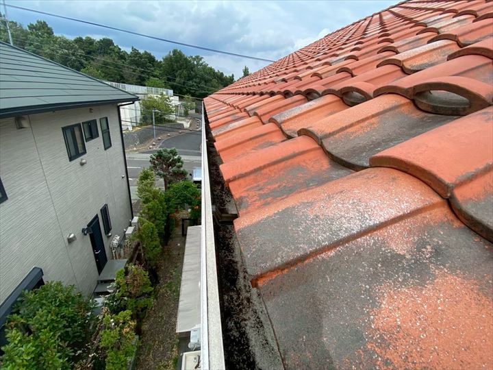 現地確認：雨樋の内部に土や草木がびっしり