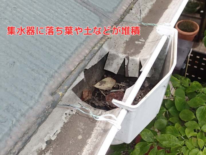 集水器に落ち葉や土などが堆積