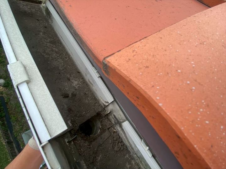 清掃開始：まずは手作業で枯れ草を除去