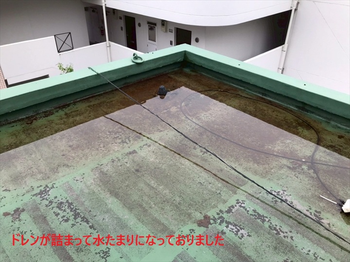 水たまりになってました