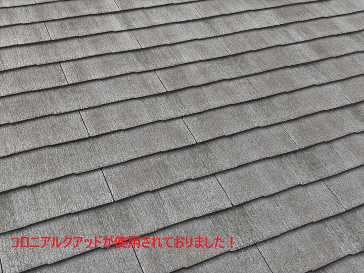 コロニアルクアッド