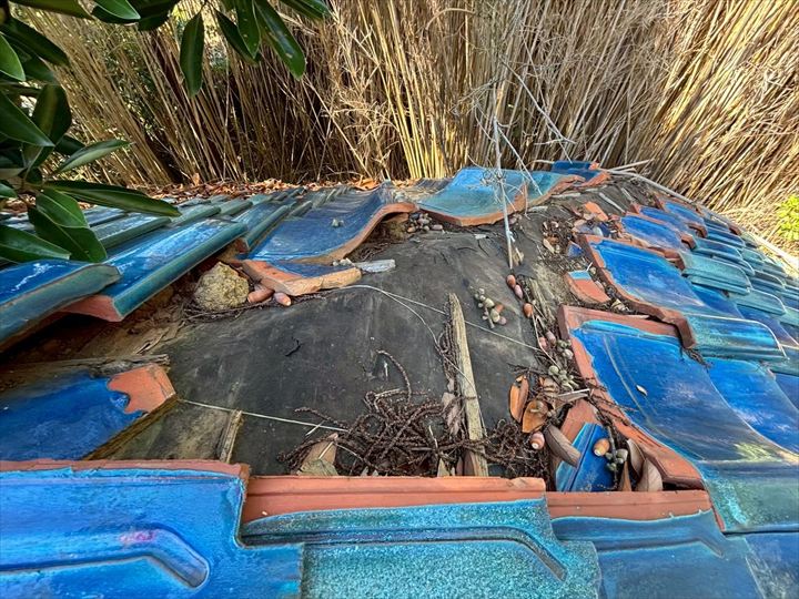 防水紙の露出と下地の傷み