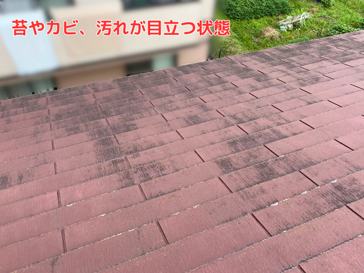 苔やカビ、汚れが目立つ状態