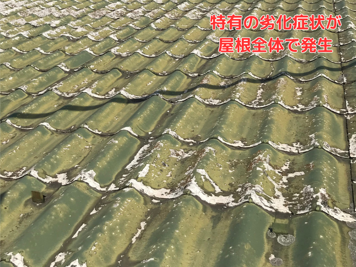 特有の劣化症状が 屋根全体で発生