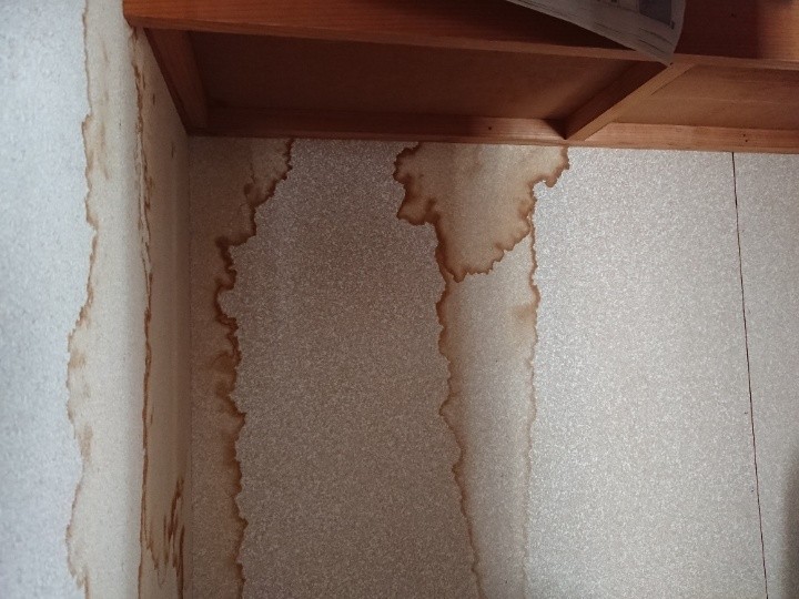 室内の天井や壁には雨染み