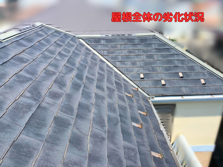 屋根全体の劣化状況