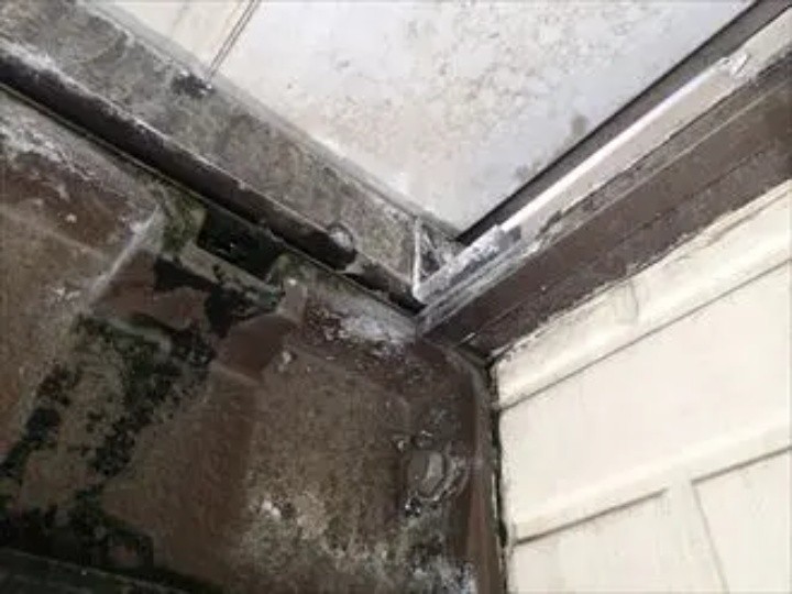 釘の周囲でサイディング表面が剝がれて劣化が進行している状況