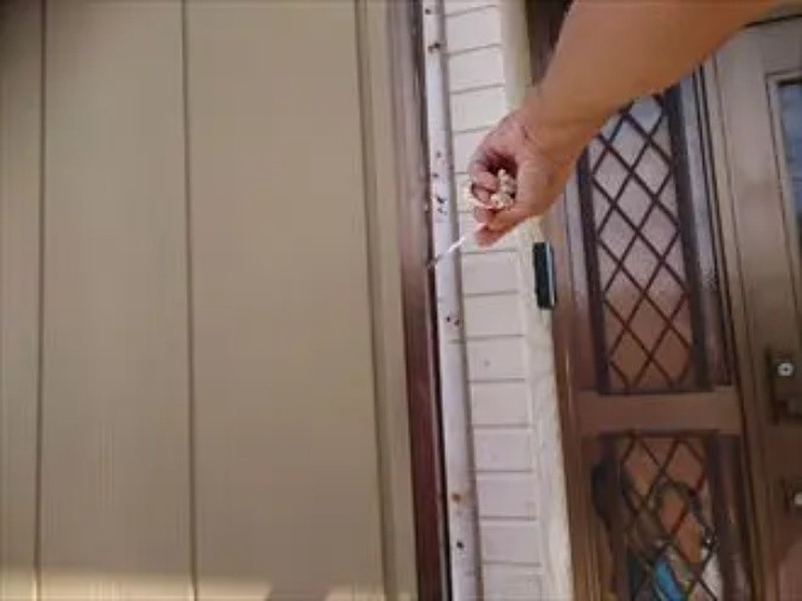 既存のシーリングを撤去する作業工程