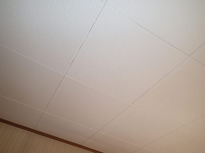 千葉県佐倉市　屋根カバー工法　室内塗装　完工後の屋根