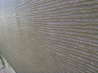 千葉市中央区　屋根塗装　外壁塗装　ベランダ防水　点検　外壁の苔