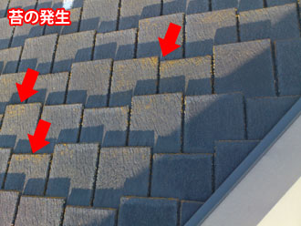 埼玉県　富士見市　屋根塗装　外壁塗装　バルコニー防水　点検　コロニアル(スレート)の苔