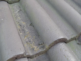 神奈川県三浦市　屋根塗装　外壁塗装　点検　屋根　苔と塗膜が剥がれそうな部分