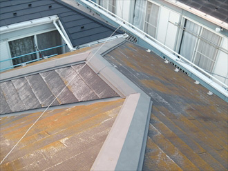 横浜市　屋根点検　コケ発生