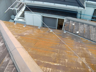 横浜市　屋根点検　コケ発生