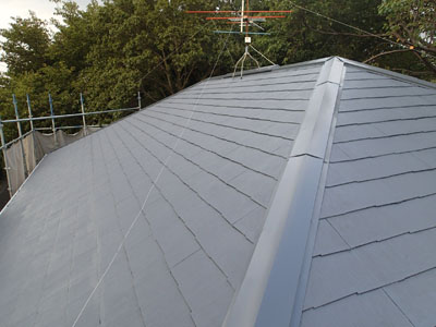 　棟板金交換 屋根塗装  外壁塗装  外壁は調色して塗り替え　落葉除けネット設置　完工後の屋根