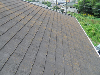 横浜市　棟板金交換 屋根塗装  外壁塗装  外壁は調色して塗り替え　落葉除けネット設置　点検　屋根