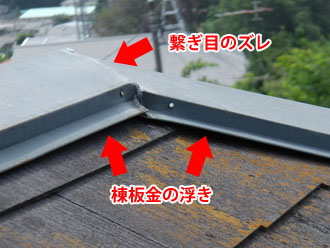 横浜市　棟板金交換 屋根塗装  外壁塗装  外壁は調色して塗り替え　落葉除けネット設置　点検　棟板金の浮き