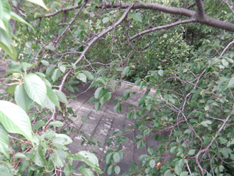 横浜市　棟板金交換 屋根塗装  外壁塗装  外壁は調色して塗り替え　落葉除けネット設置　点検