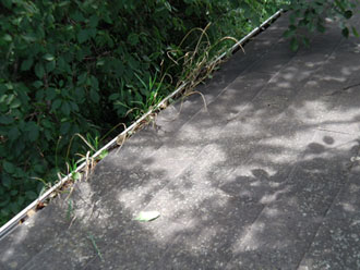 横浜市　棟板金交換 屋根塗装  外壁塗装  外壁は調色して塗り替え　落葉除けネット設置　点検　草木の生えた雨樋