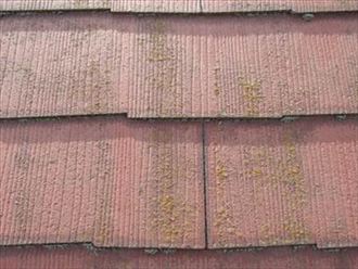 神奈川県　横浜市中区　雪止め