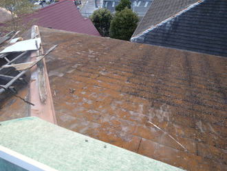 神奈川県　横浜市南区　屋根葺き替え工事　屋根点検　苔の繁殖