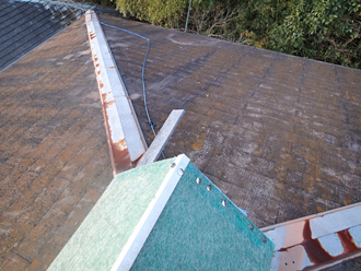 神奈川県　横浜市南区　屋根葺き替え工事　屋根点検　苔の繁殖