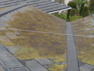 横浜市戸塚区　屋根カバー工法　点検