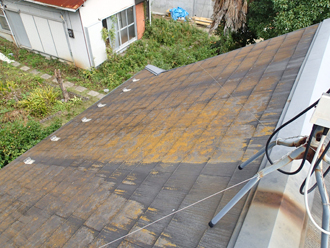 神奈川県横浜市戸塚区　屋根点検　苔の繁殖