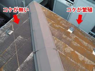 横浜市瀬谷区 棟板金交換　 屋根塗装・外壁塗装　点検　屋根の面によってコケの生え方が違う