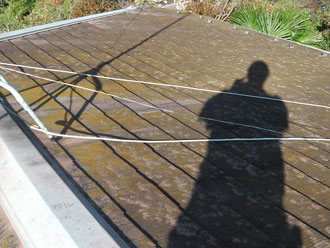 横浜市磯子区　屋根点検　コケ発生