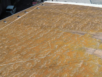 横浜市磯子区　屋根点検　コケ発生