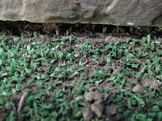 横浜市神奈川区　屋根塗装　外壁塗装　ベランダ防水　点検　排水口　ベランダ　雨漏り　原因　隙間